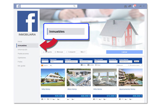 Programa inmobiliario Inmo Pc. Módulos. Facebook buscador integrado.